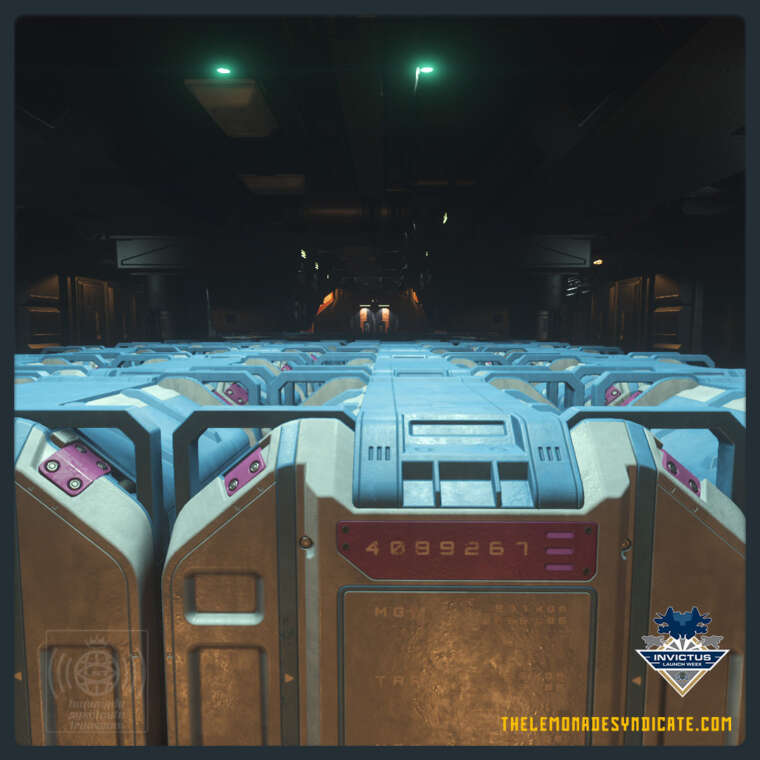 Always check your cargo before you leave - The cargo hold of theConstellation Taurus