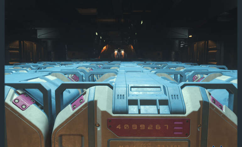 Always check your cargo before you leave - The cargo hold of theConstellation Taurus