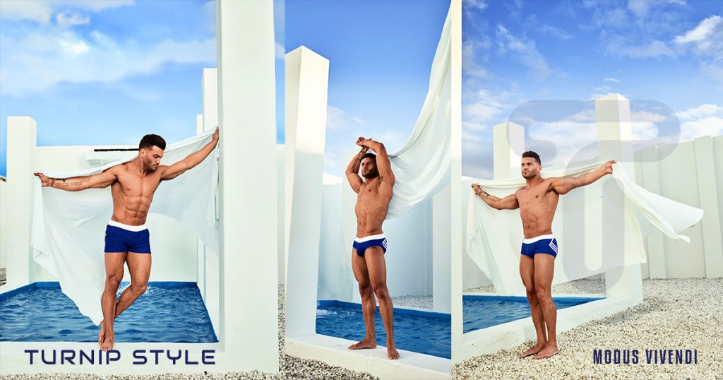 INTRODUCING THE ERMIS LINE BY MODUS VIVENDI - TURNIP STYLE - TURNIP STYLE