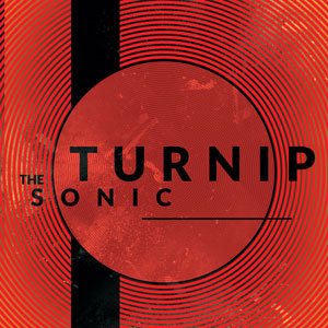 TURNIP THE SONIC - SPOTIFY PLAYLIST